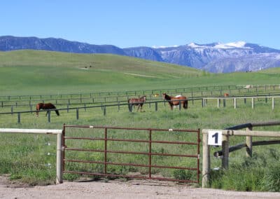 Clearwater West Big Horn, WY Equine Facility