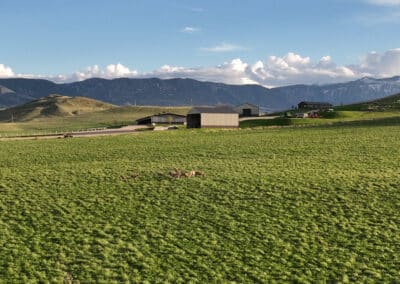 Clearwater West Big Horn, WY Equine Facility evening deer hay field