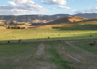 Clearwater West Big Horn, WY Equine Facility evening light hay & horses august