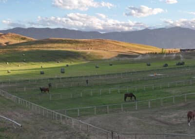 Clearwater West Big Horn, WY Equine Facility evening light horses august