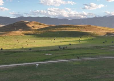 Clearwater West Big Horn, WY Equine Facility evening light horses & horses august