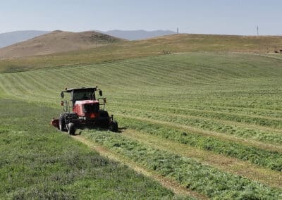 Clearwater West Big Horn, WY Equine Facility haying 2nd cutting