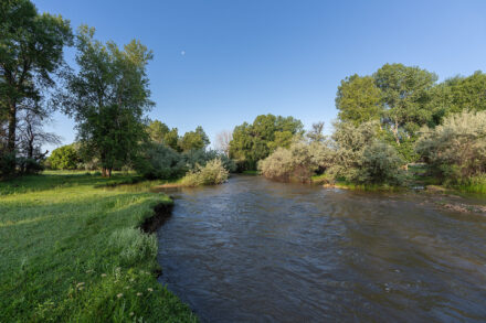 little goose creek at teal spring sheridan