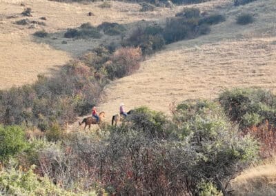 rocknhat horse ranchette riding on adjacent 7,200 acres of wyoming state land