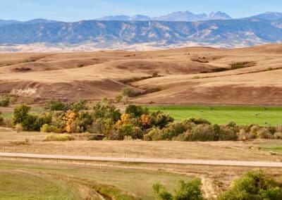 rocknhat bighorn mountains