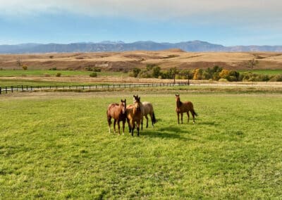 rocknhat equestrian property