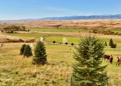 rocknhat irrigation and horse pasture