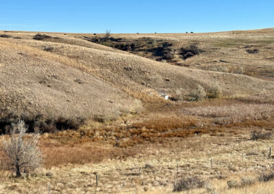 Weatherby's Saddlecrest Drive Lot 11 Sheridan Wyoming cattail bottom of gillispie draw