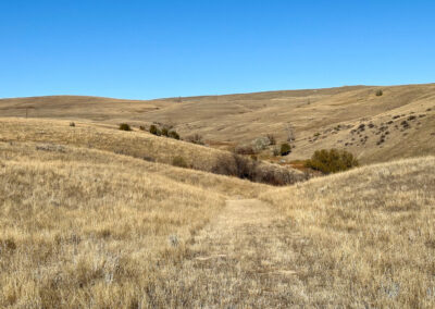 Weatherby's Saddlecrest Drive Lot 11 Sheridan Wyoming path to the draw