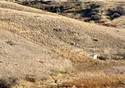 Weatherby's Saddlecrest Drive Lot 11 Sheridan Wyoming showing excluded saws infrastructure