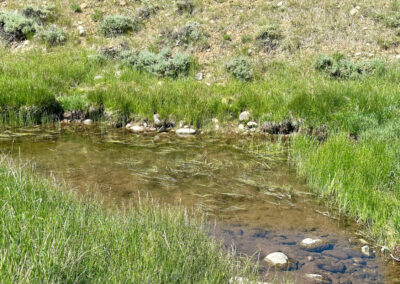 ervay basin ranch 4ead