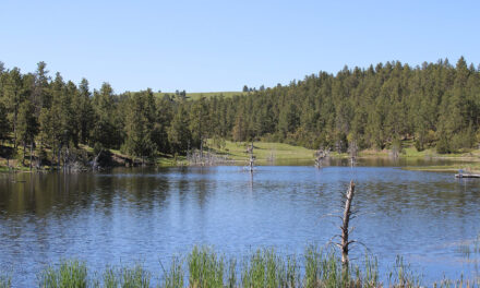 Lakes and Reservoirs of Wyoming