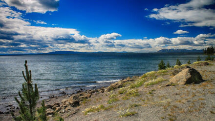 yellowstone lake