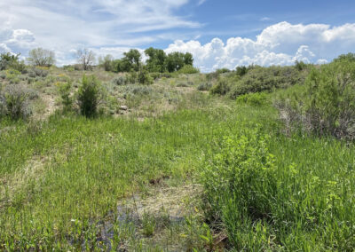 Boysen Reservoir Land