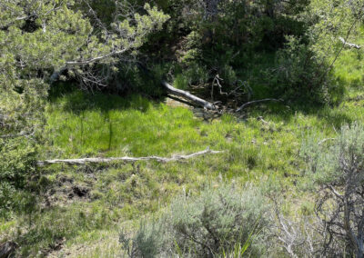 Ervay Basin Ranch