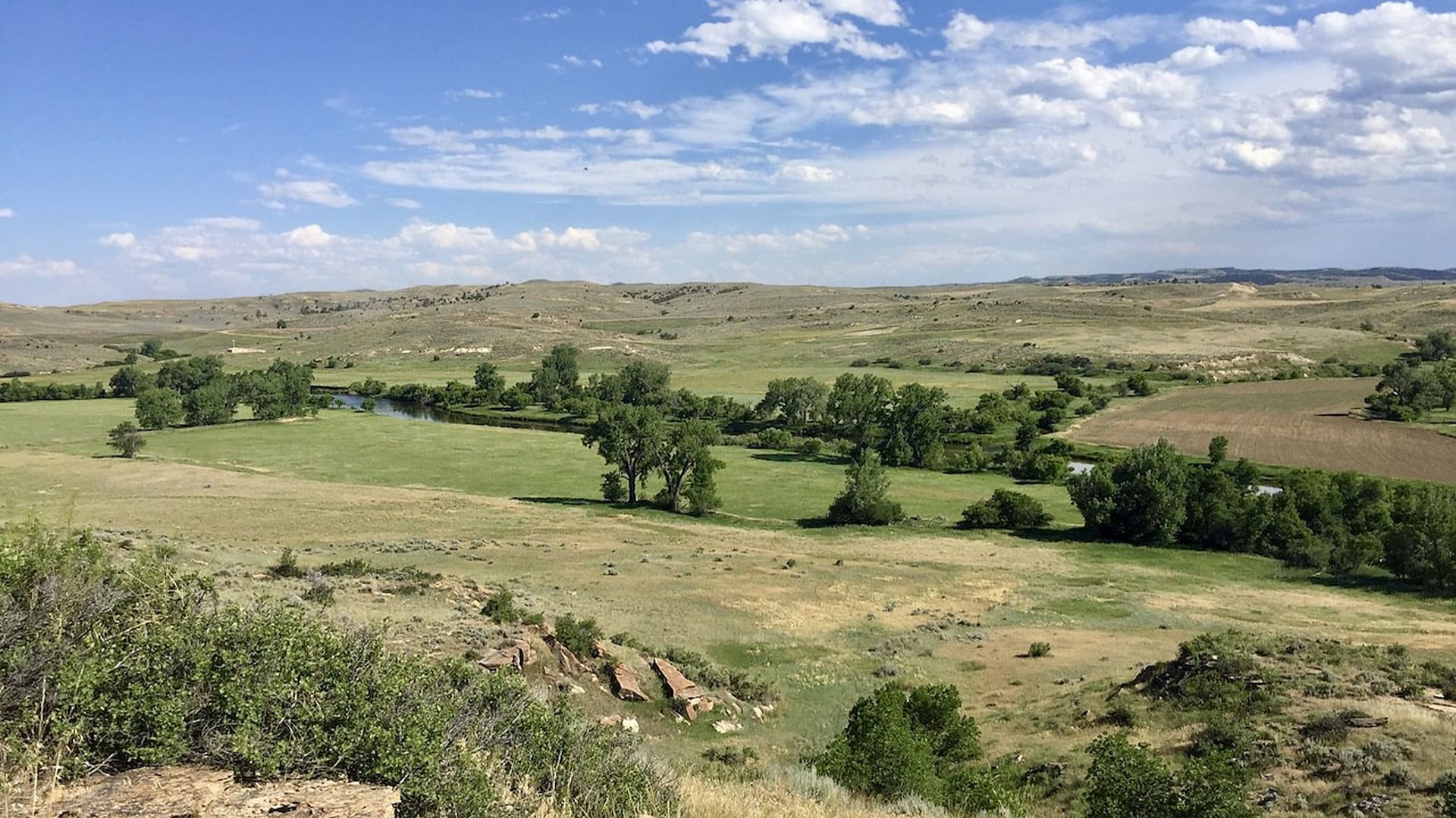 Tongue River Ranch