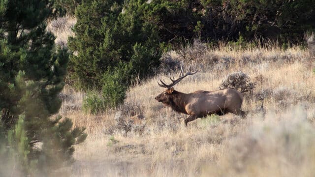 South Deer Creek Ranch