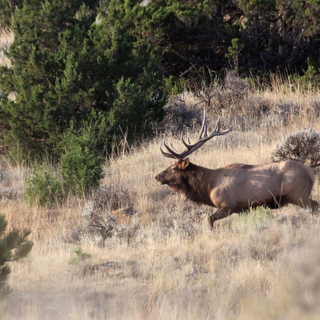 s deer creek ranch featured image