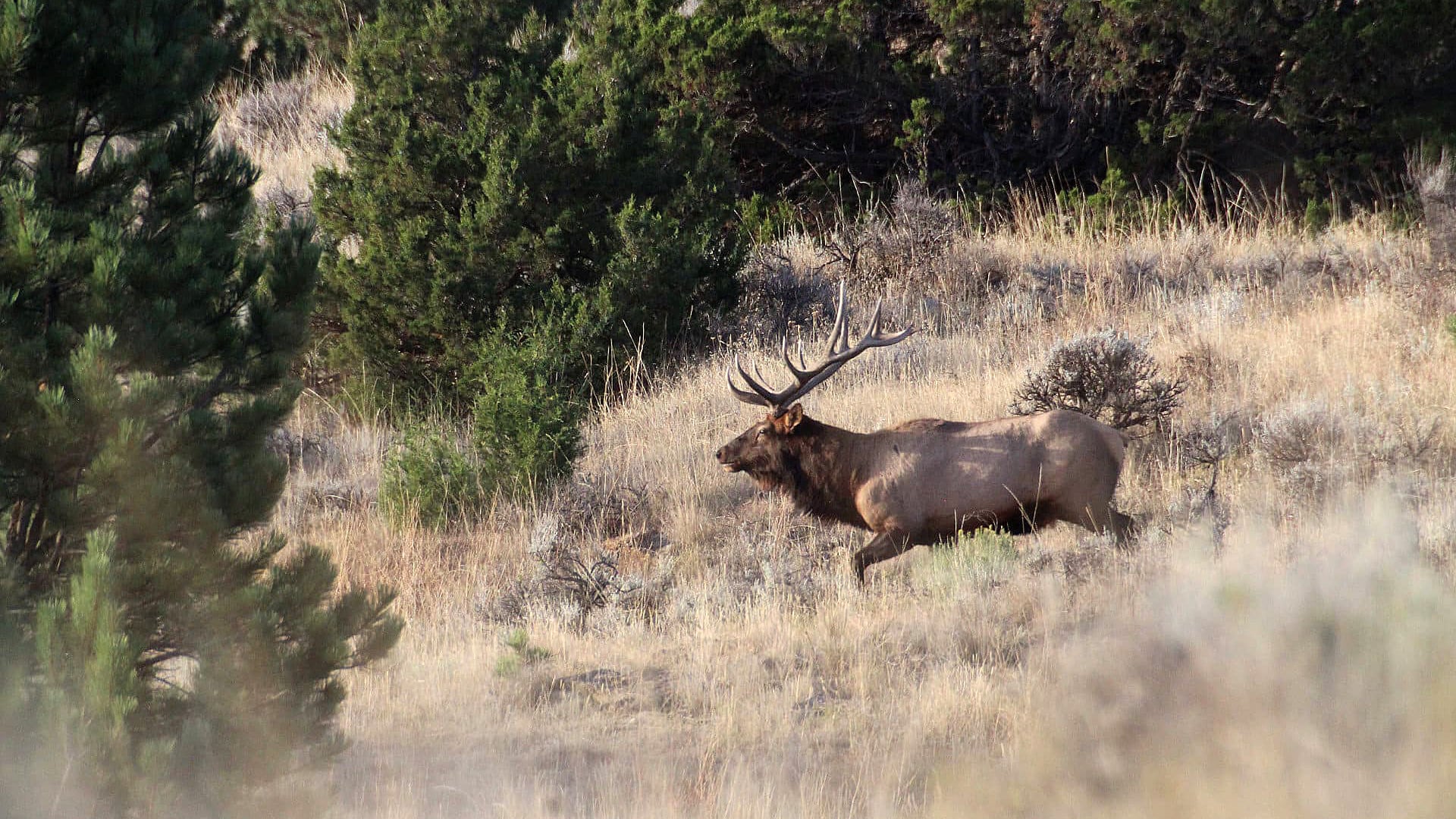South Deer Creek Ranch