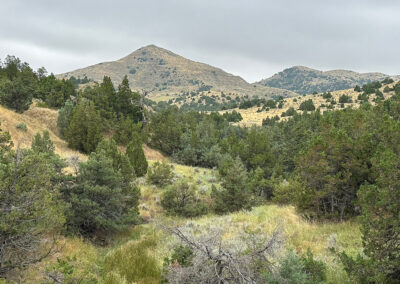 South Deer Creek Ranch landscape