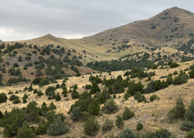 South Deer Creek Ranch landscape features