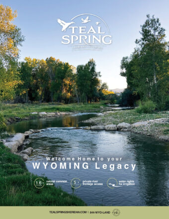Teal Spring Sheridan Brochure