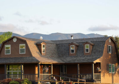 354 bird farm