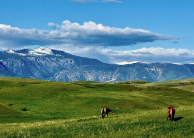 rocknhat view and horses