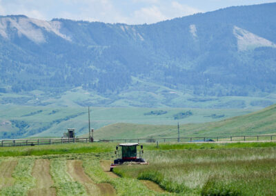 cutting hay with a view
