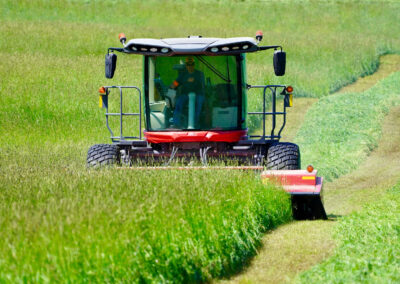 heavy hay