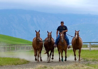 loping the ponies