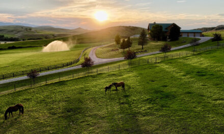 Rocknhat Horse Ranchette