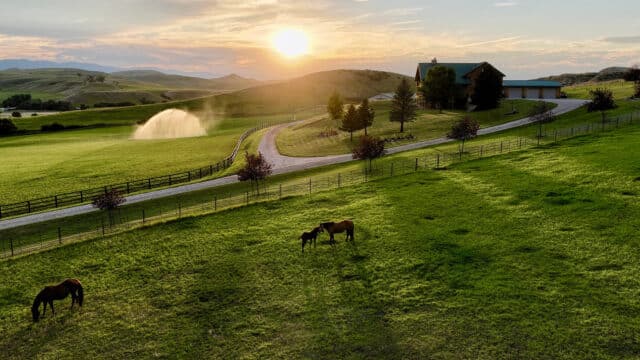 Rocknhat Horse Ranchette