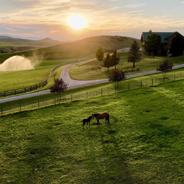 rocknhat featured image 1