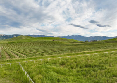 south hay field