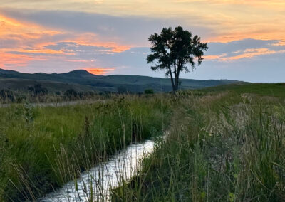 sunset over irrigation ditch