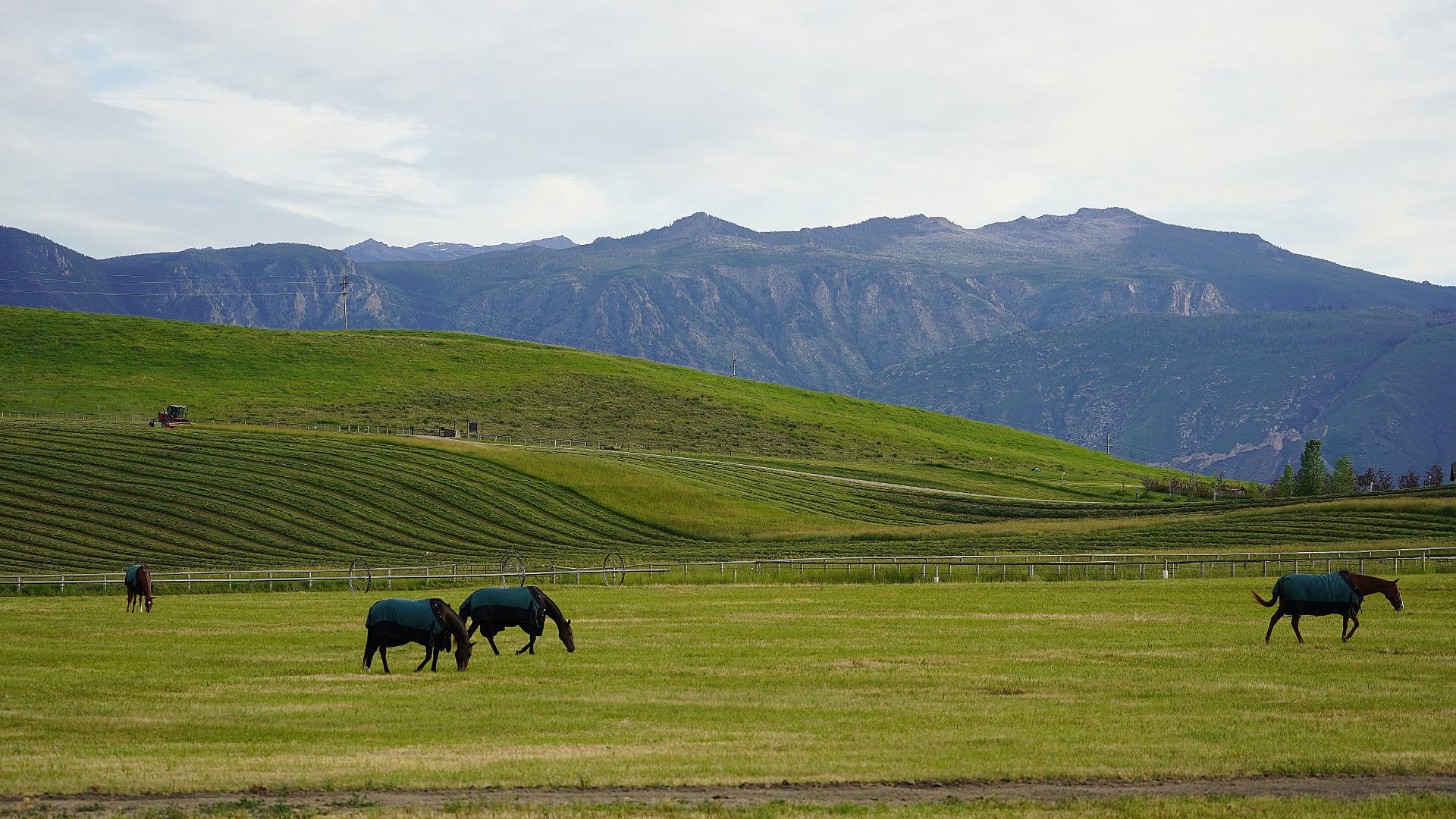 Clearwater West Big Horn Equine