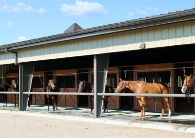 set up for lots of horses