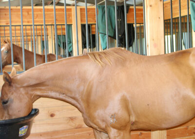 stalls