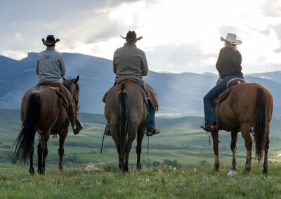 icon global cato ranch 38