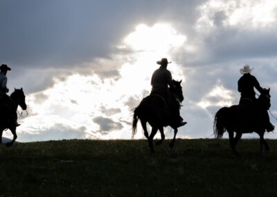 icon global cato ranch web 33