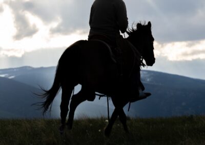 icon global cato ranch web 35