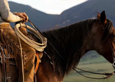 icon global cato ranch web 42