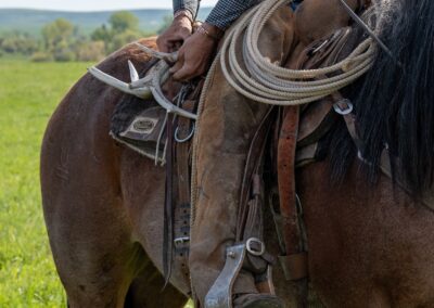 icon global cato ranch web 44