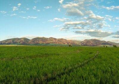 icon global cato ranch web 69