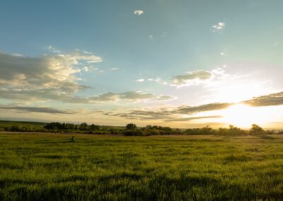 icon global cato ranch web 71
