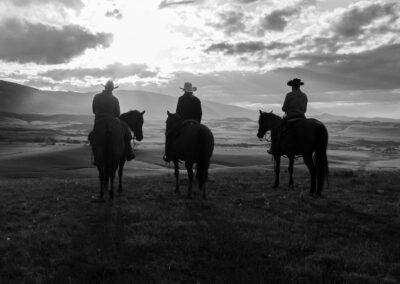 icon global cato ranch web 76