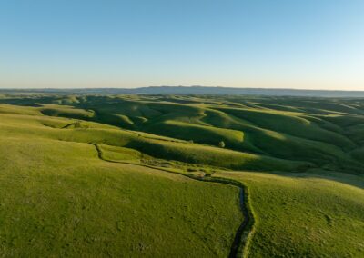 icon global cato ranch web 80