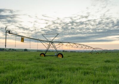 icon global cato ranch web 1