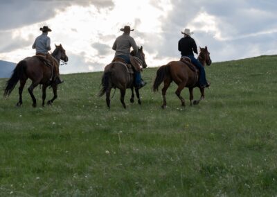 icon global cato ranch web 32